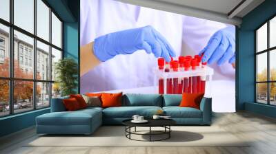 Woman working with blood samples in laboratory, closeup Wall mural