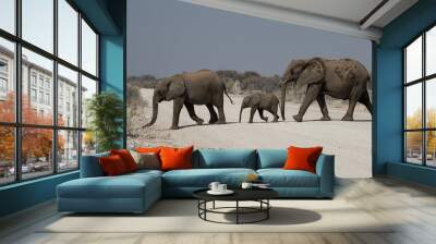 Majestic Elephant Family: Two Elephant Adults an their Calf Wall mural