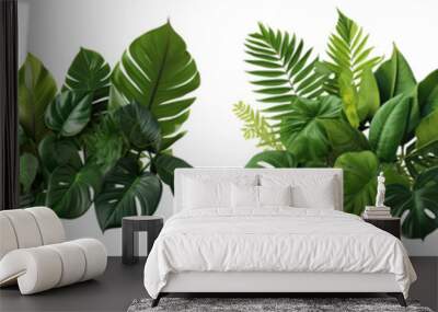 Collection of green leaves of tropical plants bush (Monstera, palm, rubber plant, pine, bird's nest fern). PNG, cutout, or clipping path.	
 Wall mural