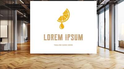 Fresh Fruit Orange Lemon Lime Cut Slice Extract Logo Design Vector Wall mural