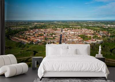 Aerial View of Palmanova, Province of Udine, Italy Wall mural