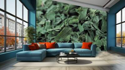 Dry green parsley seasoning herb close-up Wall mural