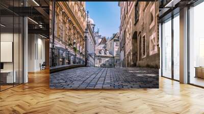 Vienna, Austria: Greek street in the old city center (in german Griechengasse), one of Vienna's most famous streets   Wall mural