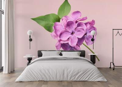 Fresh lilac blossom beautiful purple flowers Wall mural