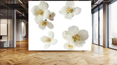 Jasmine bloom. A beautifull white flower of Jasmine falling in the air isolated Wall mural