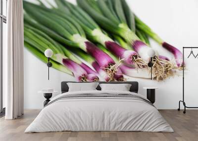 red spring onions white background Wall mural