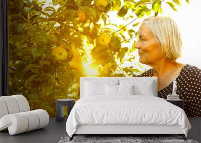 senior woman picking apples sun Wall mural