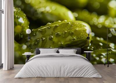 appetizing close-up shot of pickles Wall mural