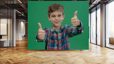 Smiling boy in a plaid shirt giving thumbs up against a green background showing positive cheerful expression Wall mural