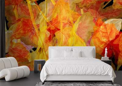 flores Wall mural