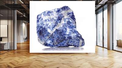 
Amazing closeup macro of colorful blue veined sodalite mineral 
stone specimen isolated on white background. Beautiful blue natural raw rough rock Wall mural