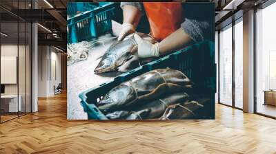 fish factory process Wall mural