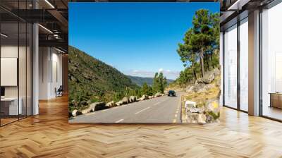 road in the mountains Wall mural