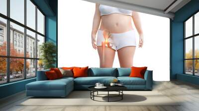 Obese woman with femur joint pain caused by cartilage wear and tear, isolated on white background Wall mural