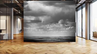 Arizona Landscape in black and white Wall mural