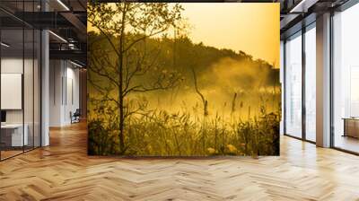 Early morning golden sunrise Wall mural