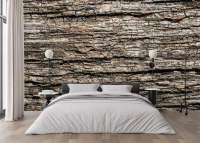 bark of a tree surface texture Wall mural