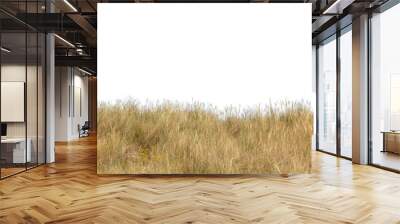 photo of grass in the wind Wall mural