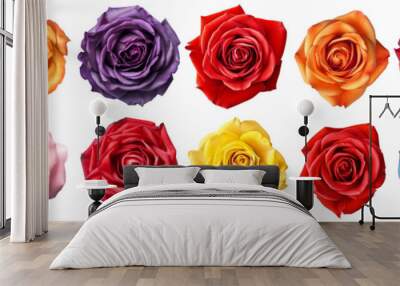 set of isolated different colored rose flowers. Created with Generative AI Wall mural