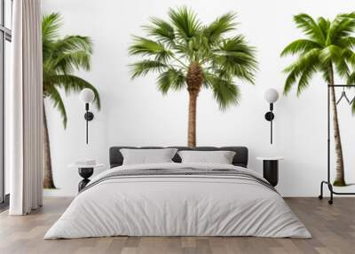 A set of coconut palm images cut out on a transparent background. Close-up of exotic trees in PNG format, side view. Clipart of trees to insert into a set or project. Wall mural