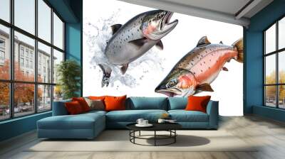 Set of salmon fishes cut out on a transparent background. Red salmon fishes emerges from the water. Design element to be inserted into an aquarium design or project Wall mural