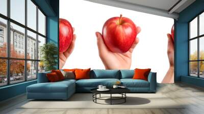 Collection of hand-holding red apples isolated on a transparent background Wall mural