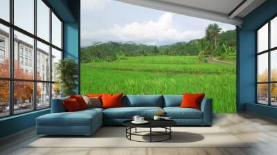 green field view at central java Indonesia Wall mural