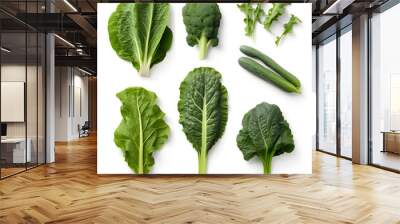 Minimalistic flat lay of assorted leafy greens isolated on white Wall mural