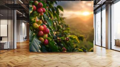 Coffee beans on tree with sunrise background. Wall mural