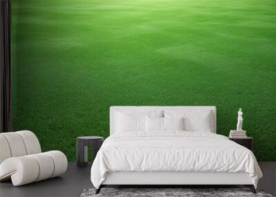 Lush green grass field, perfect background for design. Wall mural