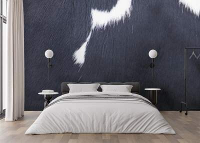 black and white pattern on cowhide Wall mural