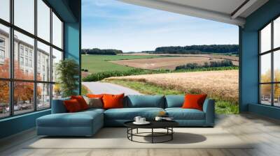 cornfields and meadows under blue sky in french pas de calais near boulogne Wall mural