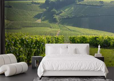 vineyards in the champagne region between reims and epernay in france Wall mural