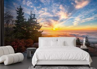 Blue Ridge Mountains, scenic sunrise, Blue ridge Parkway, North Carolina Wall mural