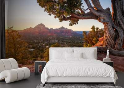 Scenic summer sunset over airport mesa in sedona arizona Wall mural