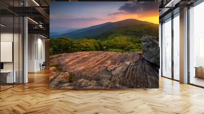 Summer sunset along Appalachian Trail, Tennessee Wall mural