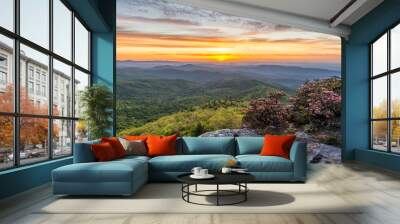 sunrise from hawksbill mountain in north carolina Wall mural