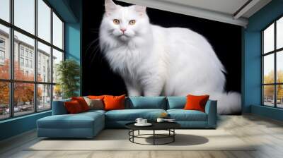  white cat HD 8K wallpaper Stock Photographic Image Wall mural