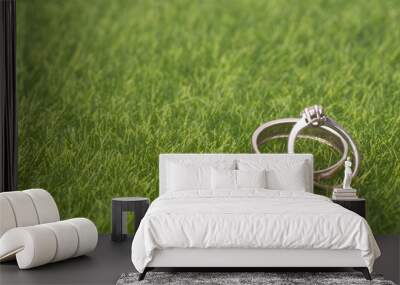 A pair of wedding/engagement ring isolated over green grass Wall mural