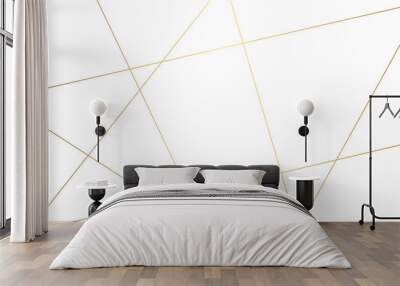 Abstract golden geometric random chaotic lines background. Luxury premium lines background. Abstract lines design for fabric, wall and many more. Wall mural