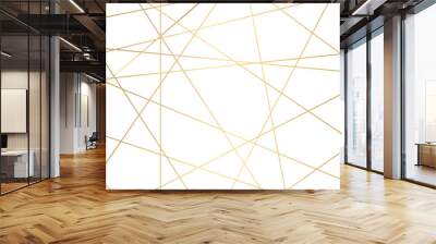 Luxury premium shiny golden geometric lines overlap design for cosmetic product cover background. Vector geometric luxury golden lines for banner, template, book cover, cosmetic product cover.   Wall mural