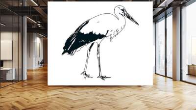 Black and white sketch of a stork with transparent background Wall mural