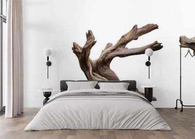 Collection of 3 natural wood tree sculptures, isolated on transparent background Wall mural