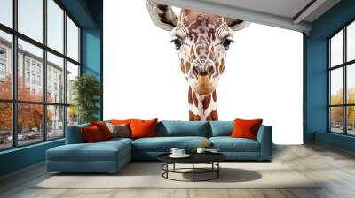 giraffe isolated on white Wall mural