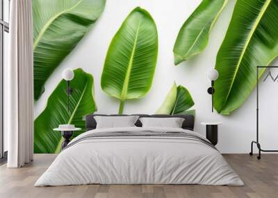 Green banana leaves on white background. Wall mural