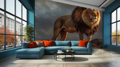 lion in the sun HD 8K wallpaper Stock Photographic Image Wall mural