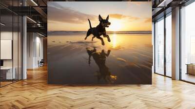 Miniature Pinscher dog running on the beach at sunset. Wall mural