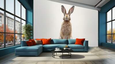 rabbit on a white background HD 8K wallpaper Stock Photographic Image Wall mural