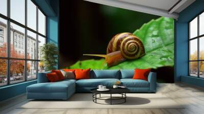 snail on a leaf HD 8K wallpaper Stock Photography Photo Image Wall mural