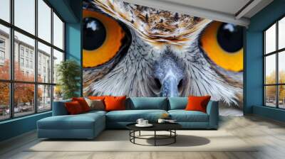 close up owl eyes background Wall mural